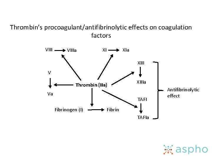 Thrombin’s procoagulant/antifibrinolytic effects on coagulation factors VIIIa XI XIa XIII V Thrombin (IIa) Va