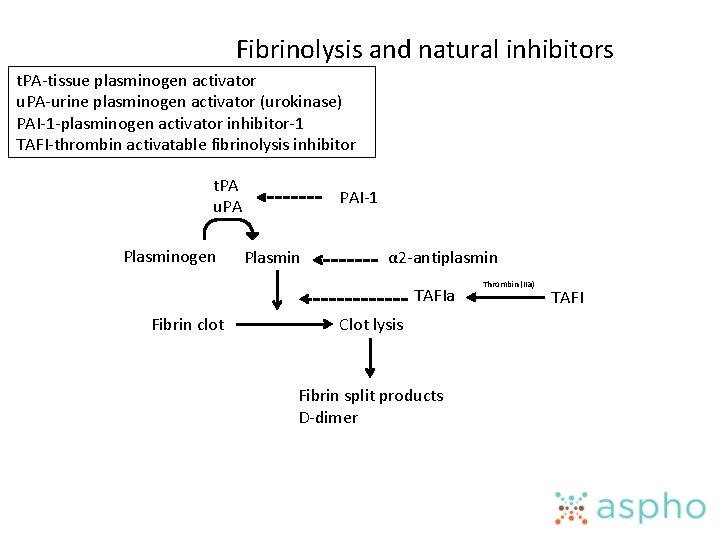 Fibrinolysis and natural inhibitors t. PA-tissue plasminogen activator u. PA-urine plasminogen activator (urokinase) PAI-1