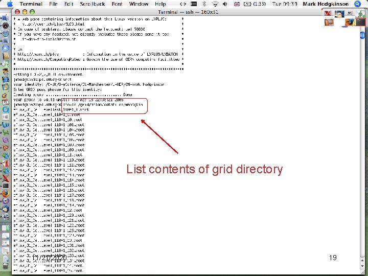 List contents of grid directory 11/21/2020 19 