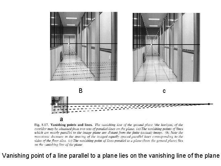 B c a Vanishing point of a line parallel to a plane lies on