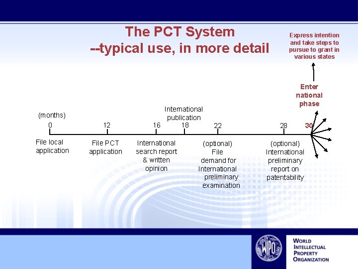 The PCT System --typical use, in more detail (months) 0 12 File local application