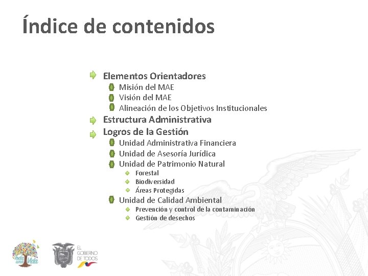 Índice de contenidos Elementos Orientadores Misión del MAE Visión del MAE Alineación de los