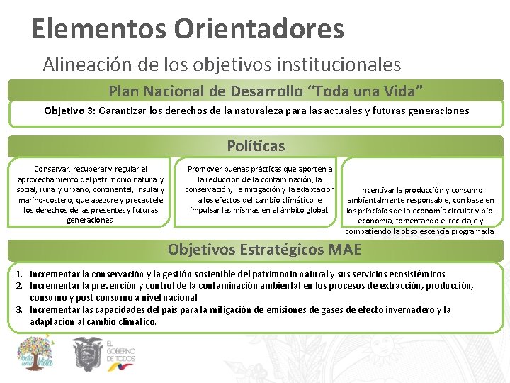 Elementos Orientadores Alineación de los objetivos institucionales Plan Nacional de Desarrollo “Toda una Vida”