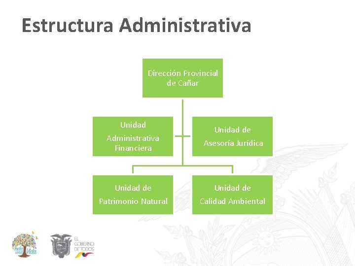 Estructura Administrativa Dirección Provincial de Cañar Unidad Administrativa Financiera Unidad de Asesoría Jurídica Unidad