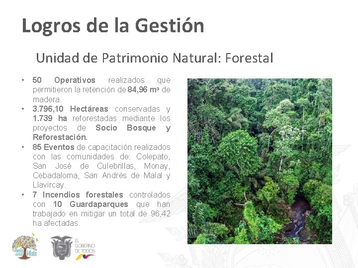 Logros de la Gestión Unidad de Patrimonio Natural: Forestal • • 50 Operativos realizados