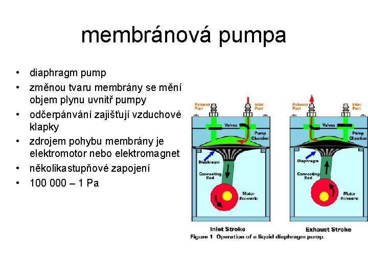 membránová pumpa • diaphragm pump • změnou tvaru membrány se mění objem plynu uvnitř