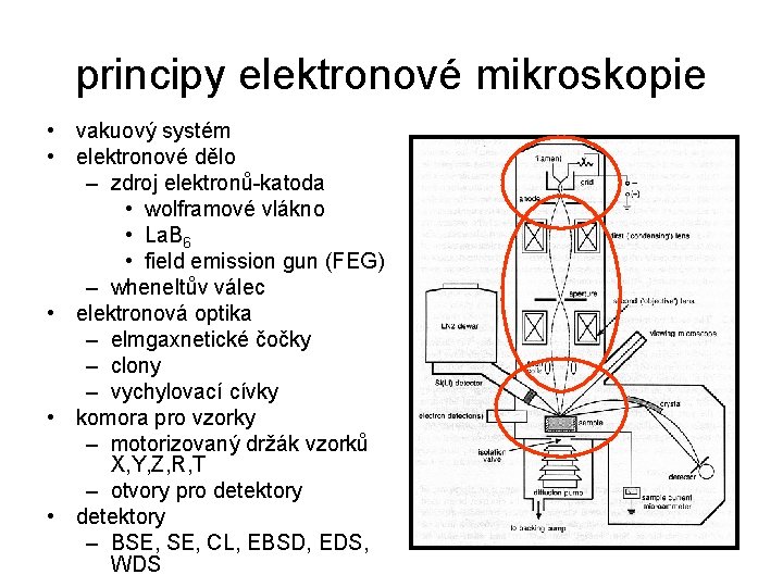 principy elektronové mikroskopie • vakuový systém • elektronové dělo – zdroj elektronů-katoda • wolframové