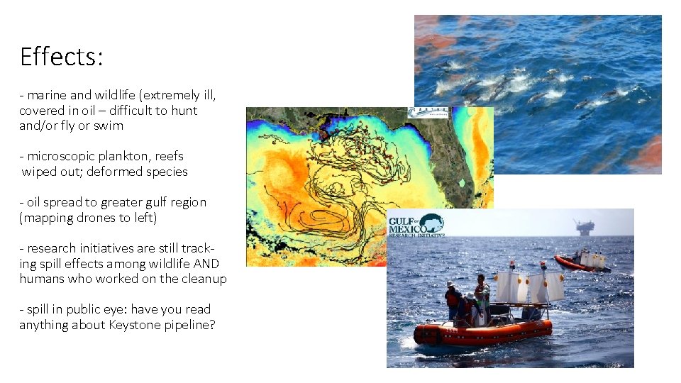 Effects: - marine and wildlife (extremely ill, covered in oil – difficult to hunt Effects: - marine and wildlife (extremely ill, covered in oil – difficult to hunt