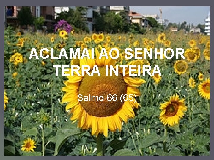 ACLAMAI AO SENHOR TERRA INTEIRA Salmo 66 (65) 