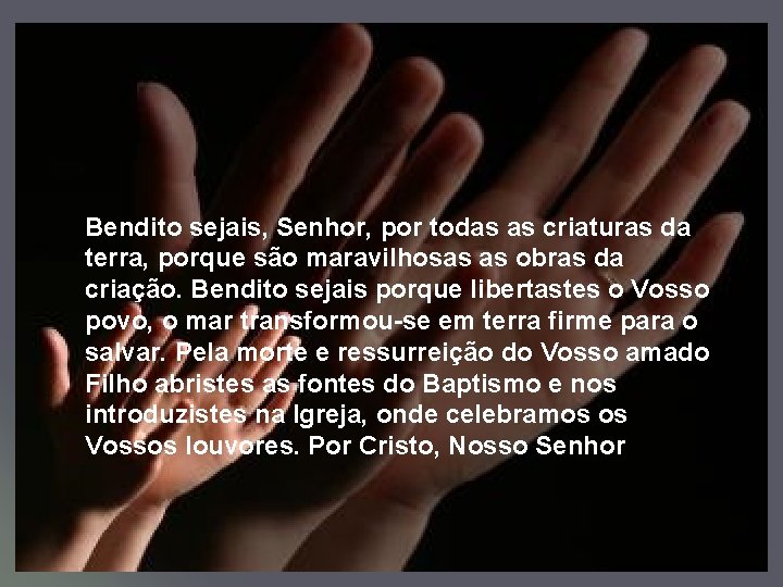 Bendito sejais, Senhor, por todas as criaturas da terra, porque são maravilhosas as obras