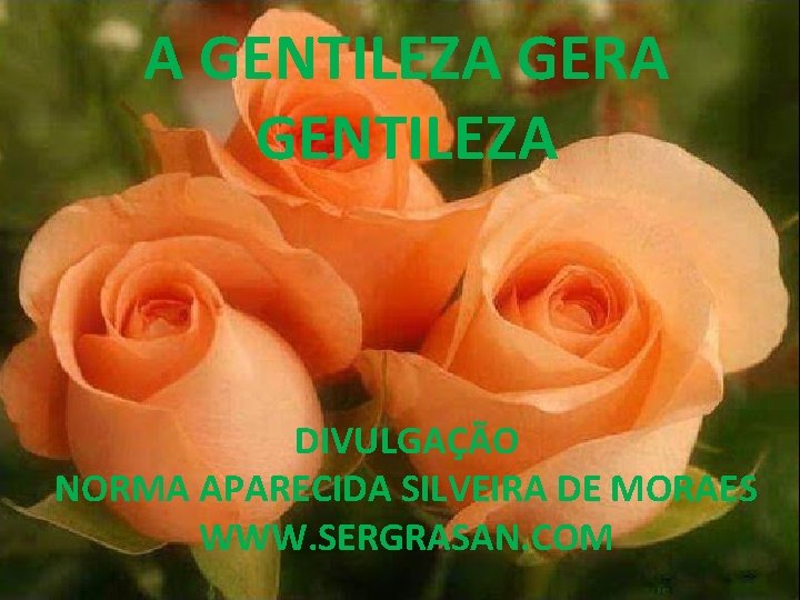 A GENTILEZA GERA GENTILEZA DIVULGAÇÃO NORMA APARECIDA SILVEIRA DE MORAES WWW. SERGRASAN. COM 