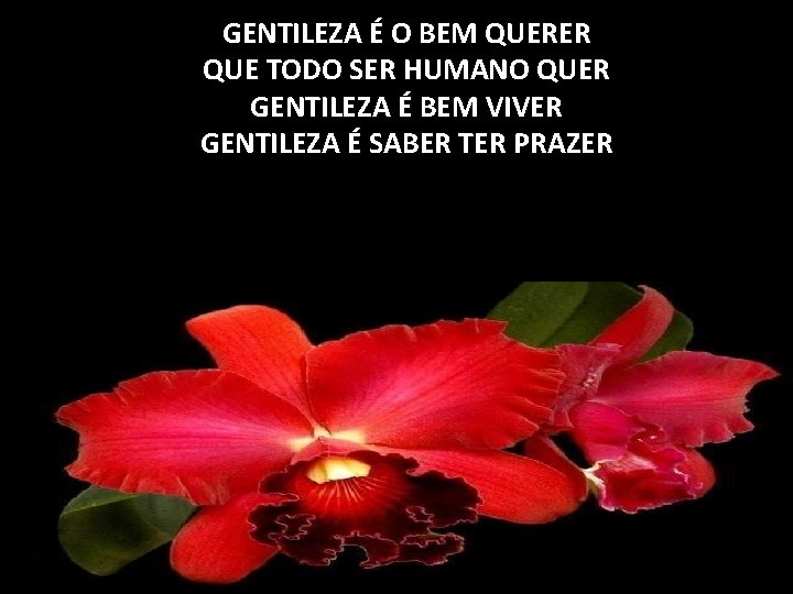 GENTILEZA É O BEM QUERER QUE TODO SER HUMANO QUER GENTILEZA É BEM VIVER