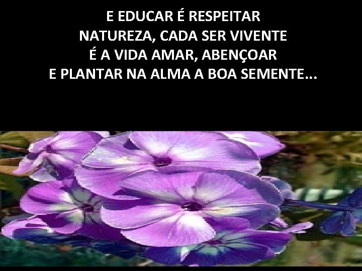 E EDUCAR É RESPEITAR NATUREZA, CADA SER VIVENTE É A VIDA AMAR, ABENÇOAR E