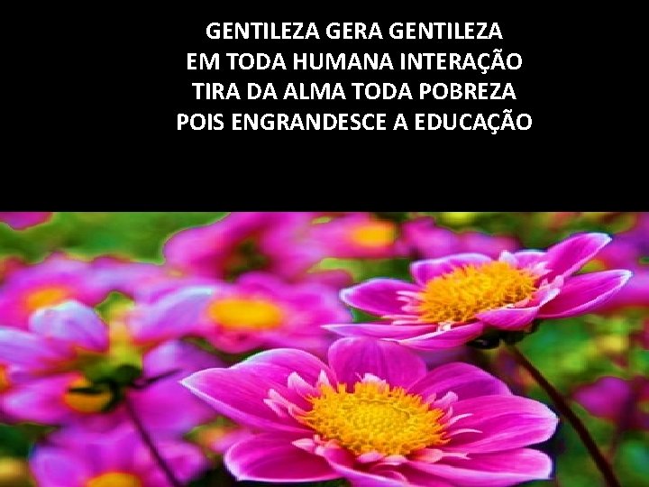 GENTILEZA GERA GENTILEZA EM TODA HUMANA INTERAÇÃO TIRA DA ALMA TODA POBREZA POIS ENGRANDESCE