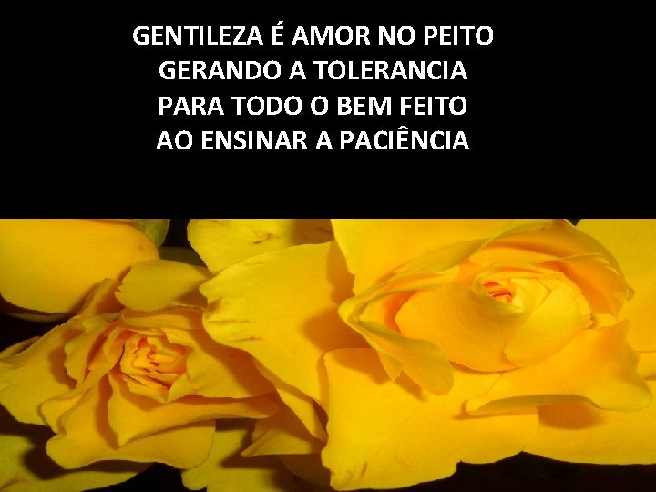 GENTILEZA É AMOR NO PEITO GERANDO A TOLERANCIA PARA TODO O BEM FEITO AO