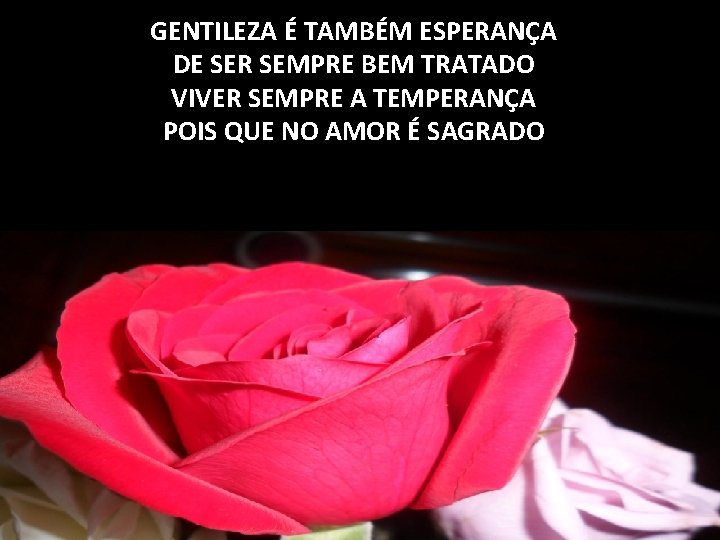 GENTILEZA É TAMBÉM ESPERANÇA DE SER SEMPRE BEM TRATADO VIVER SEMPRE A TEMPERANÇA POIS