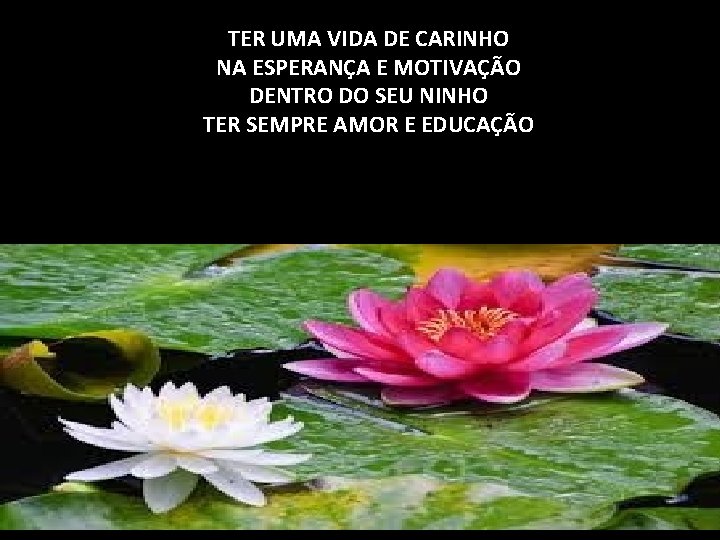TER UMA VIDA DE CARINHO NA ESPERANÇA E MOTIVAÇÃO DENTRO DO SEU NINHO TER