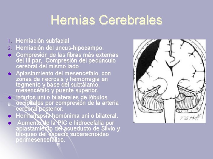 Hernias Cerebrales 1. 2. l l l Herniación subfacial Herniación del uncus-hipocampo. Compresión de