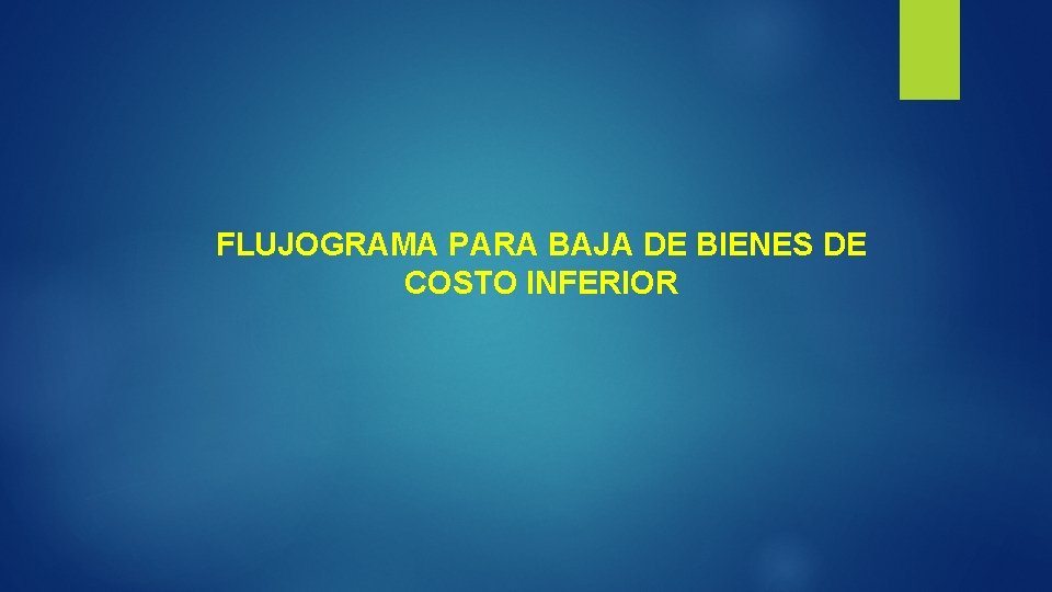 FLUJOGRAMA PARA BAJA DE BIENES DE COSTO INFERIOR 