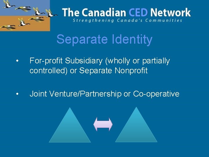 Separate Identity • For-profit Subsidiary (wholly or partially controlled) or Separate Nonprofit • Joint