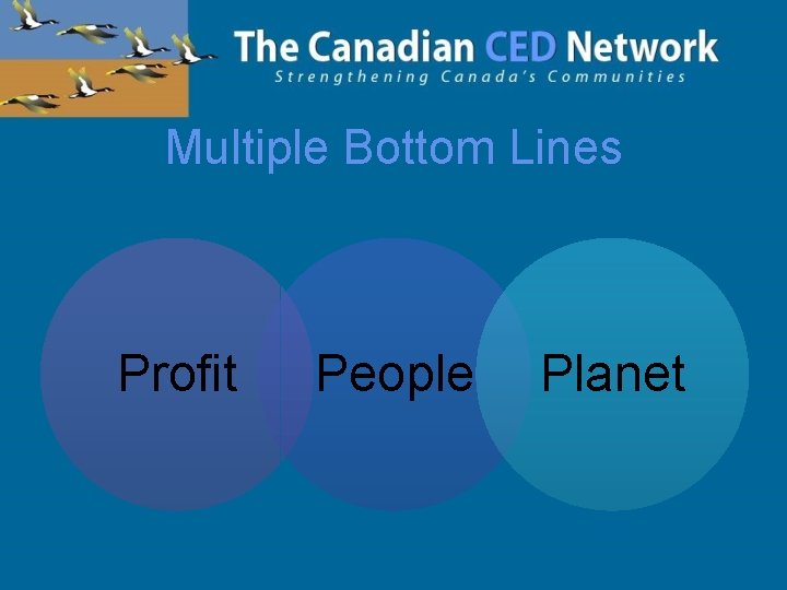 Multiple Bottom Lines Profit People Planet 