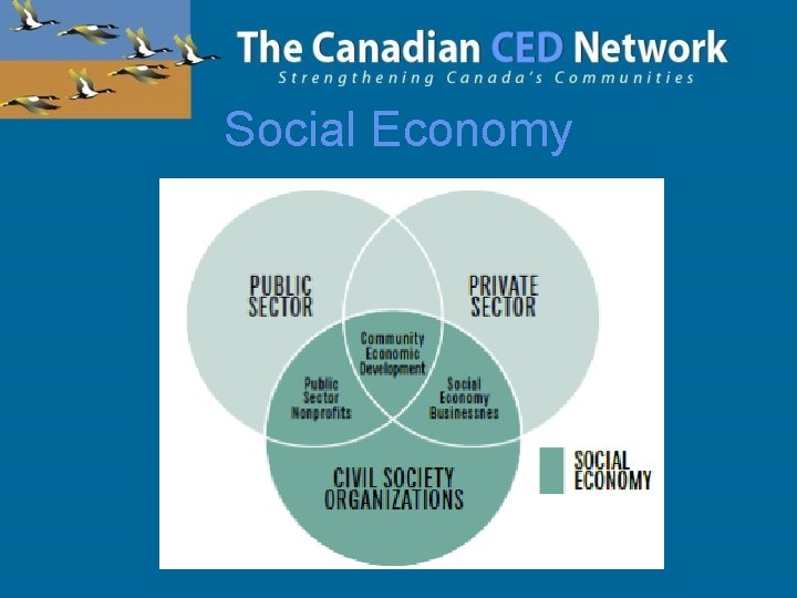 Social Economy 