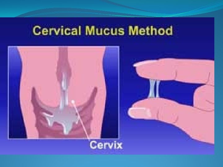 penis într  un fel de mucus turnarea penisului