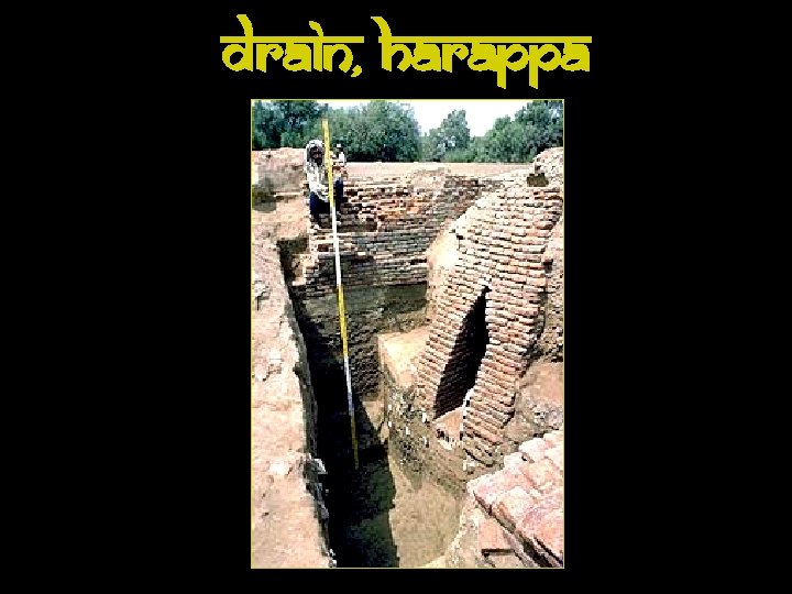 Drain, Harappa 