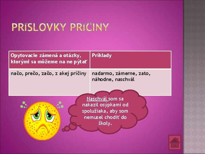 Opytovacie zámená a otázky, Príklady ktorými sa môžeme na ne pýtať načo, prečo, začo,