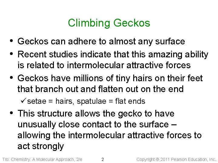 Climbing Geckos • Geckos can adhere to almost any surface • Recent studies indicate