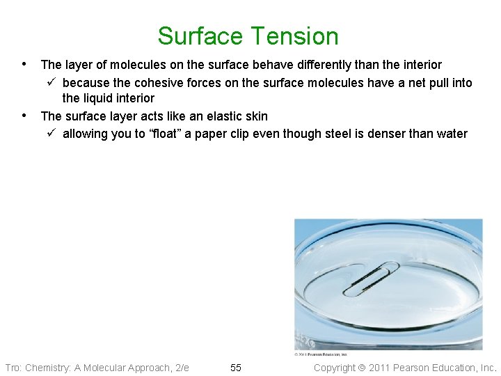 Surface Tension • The layer of molecules on the surface behave differently than the