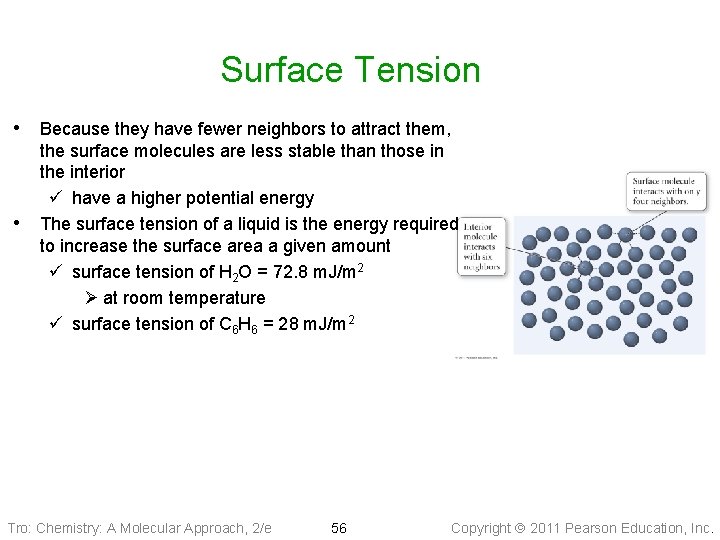 Surface Tension • Because they have fewer neighbors to attract them, • the surface