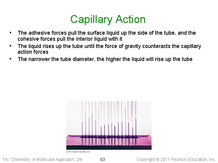 Capillary Action • The adhesive forces pull the surface liquid up the side of