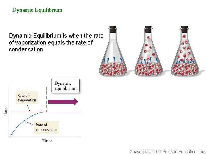 Dynamic Equilibrium is when the rate of vaporization equals the rate of condensation Copyright