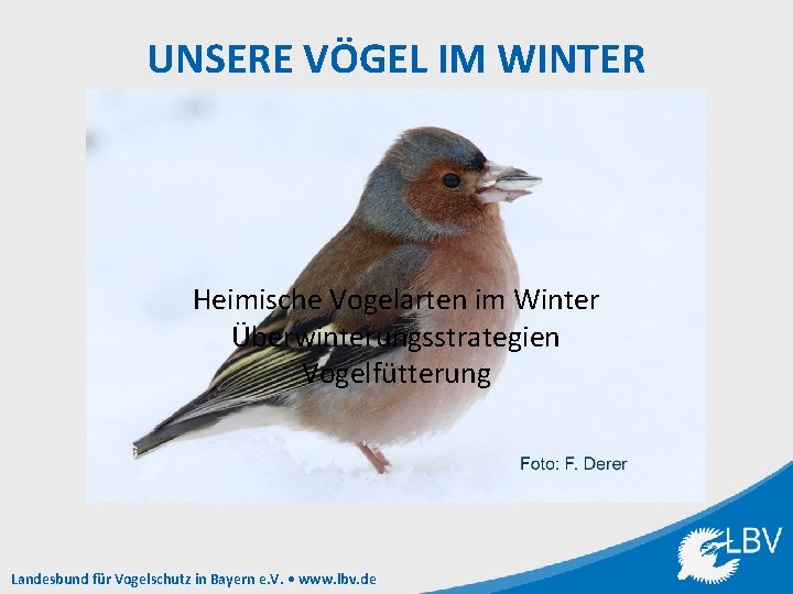 UNSERE VÖGEL IM WINTER Heimische Vogelarten im Winter Überwinterungsstrategien Vogelfütterung Landesbund für Vogelschutz in