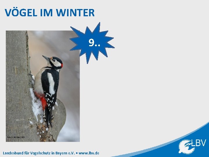 VÖGEL IM WINTER 9. . Landesbund für Vogelschutz in Bayern e. V. • www.