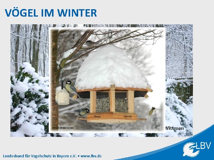 VÖGEL IM WINTER Landesbund für Vogelschutz in Bayern e. V. • www. lbv. de