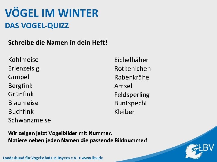 VÖGEL IM WINTER DAS VOGEL-QUIZZ Schreibe die Namen in dein Heft! Kohlmeise Erlenzeisig Gimpel