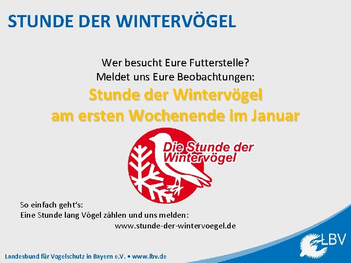 STUNDE DER WINTERVÖGEL Wer besucht Eure Futterstelle? Meldet uns Eure Beobachtungen: Stunde der Wintervögel