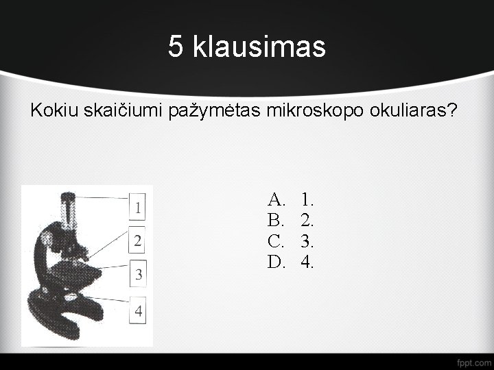 5 klausimas Kokiu skaičiumi pažymėtas mikroskopo okuliaras? A. B. C. D. 1. 2. 3.