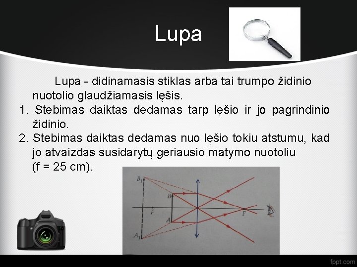 Lupa - didinamasis stiklas arba tai trumpo židinio nuotolio glaudžiamasis lęšis. 1. Stebimas daiktas