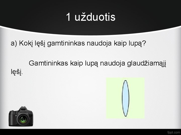 1 užduotis a) Kokį lęšį gamtininkas naudoja kaip lupą? Gamtininkas kaip lupą naudoja glaudžiamąjį