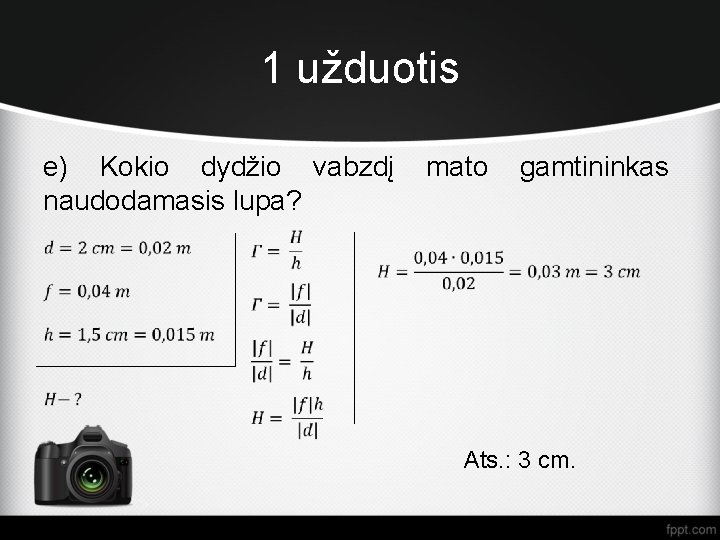 1 užduotis e) Kokio dydžio vabzdį mato gamtininkas naudodamasis lupa? Ats. : 3 cm.