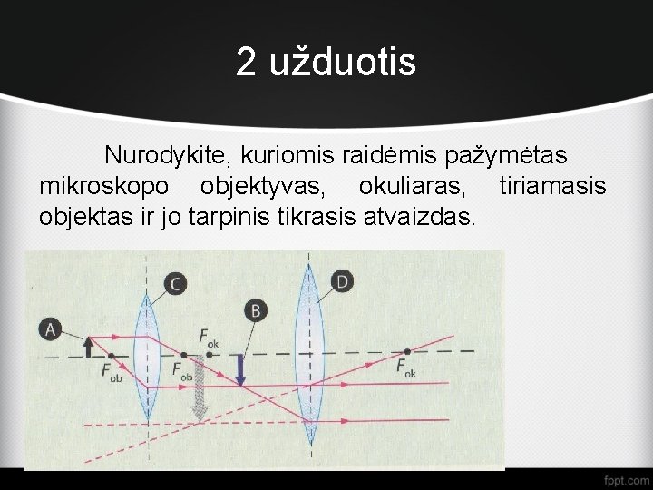 2 užduotis Nurodykite, kuriomis raidėmis pažymėtas mikroskopo objektyvas, okuliaras, tiriamasis objektas ir jo tarpinis