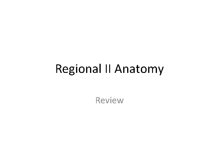 Regional II Anatomy Review 