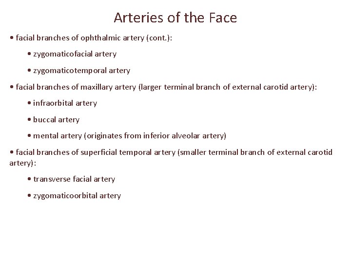 Arteries of the Face • facial branches of ophthalmic artery (cont. ): • zygomaticofacial
