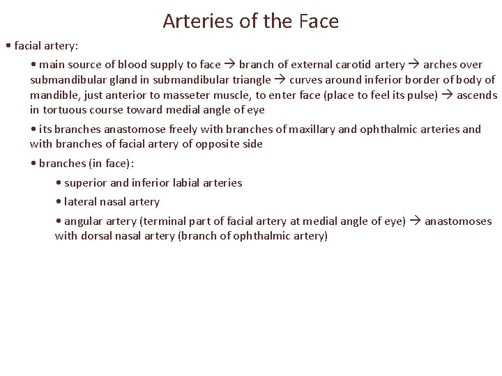 Arteries of the Face • facial artery: • main source of blood supply to