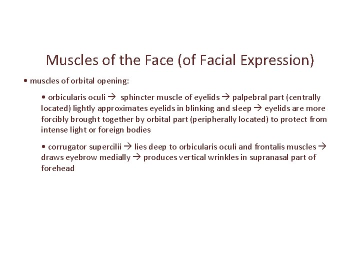 Muscles of the Face (of Facial Expression) • muscles of orbital opening: • orbicularis