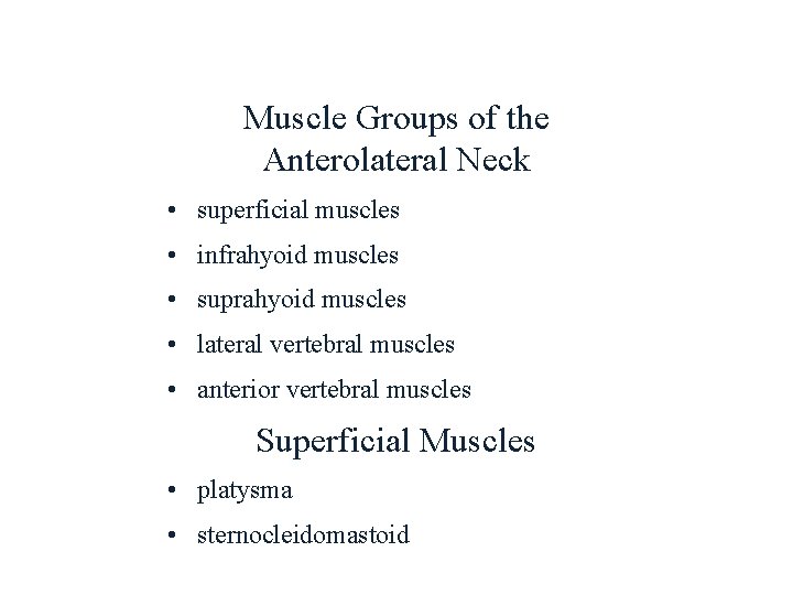 Muscle Groups of the Anterolateral Neck • superficial muscles • infrahyoid muscles • suprahyoid