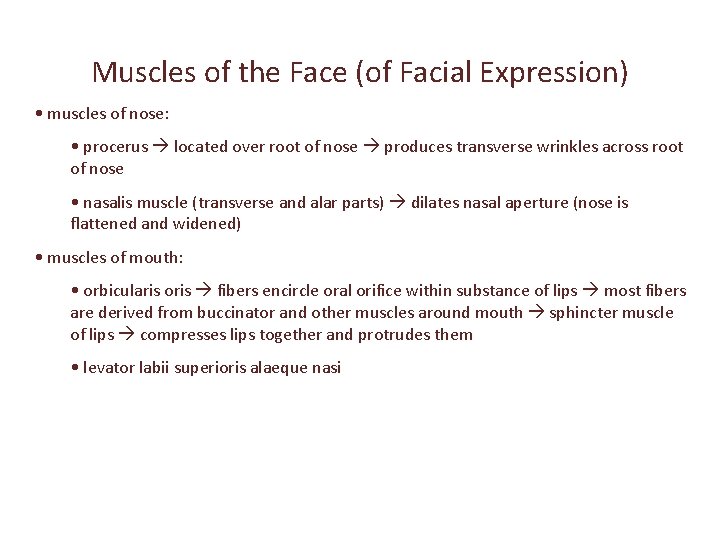Muscles of the Face (of Facial Expression) • muscles of nose: • procerus located